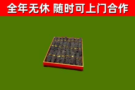 依安烟酒回收海参.jpg